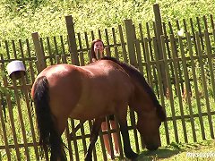 Awesome Couple Fuck Outdoors As They Rest After An Adventurous Horse Ride